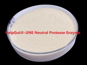 Gıda sınıfı enzim nötr proteaz seripeptidaz 50000/100000/200000 U/g - Product Image 3
