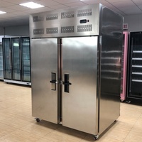 Professionele levering Mr Frio High RVS 304 Tweedeurs Schokvriezer Blast Chiller Digitale Temperatuurregeling Tecumseh