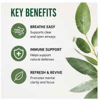 Huile essentielle d'eucalyptus pure et naturelle ; Améliore la respiration et offre des propriétés antibactériennes, idéale pour la parfumerie d'intérieur.