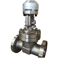 Vanne à opercule ANSI 600LB CF8 CF8M en acier inoxydable API 304/316 à bride Z41W-16P, pour vapeur haute température, avec joint dur et tige montante
