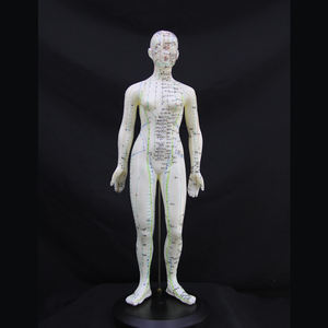 Çin akupunktur modeli insan akupunktur akupunktur modeli vücut noktası 60cm akupunktur modeli - Product Image 2