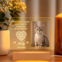 Lampe de nuit LED 3D commémorative pour animaux de compagnie, base en bois, abat-jour au design moderne, option DIY, alimentation USB, certifiée CE, cadeau de souvenir pour animal de compagnie