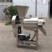 Industriële spiraalvormige volautomatische fruitpers-pulpseparator 380V 1500W voor blauwe bessen en drakenvruchten met 1 jaar garantie