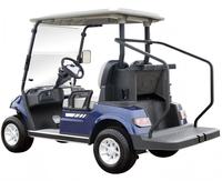 Kendaraan Golf Car Listrik Buggy 2 Penumpang, Menerima Pesanan Khusus