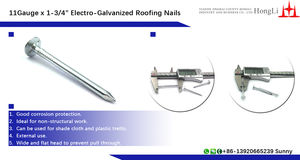 Clous pour toiture de plafond galvanisés de <span class=keywords><strong>1</strong></span> po, fabriqués en usine - Product Image 5
