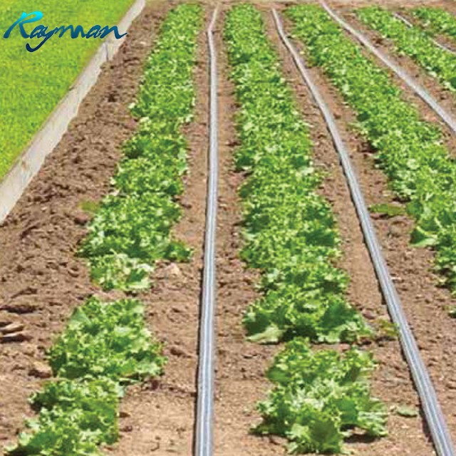 Сельскохозяйственная капельная Оросительная Система PE, прямые продажи с завода, 16 мм 20 мм