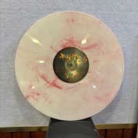 Mengkleuren LP SP Vinylplaten Muziek Op maat gemaakte vinylplaten fabrikanten fabriek