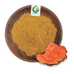 Private Label Taiwanofungus Camphoratus Ganoderma Camphoratum Antrodia Camphorata Extract Poeder - Product Image 1