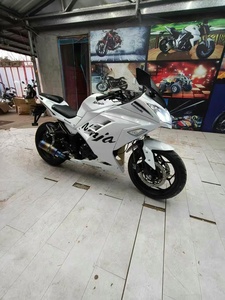 Haleixiaogou 250cc Ninja d'occasion avec moteur puissant et vitesse de 80 km/h, fabriqué dans le Guangdong, haute puissance - Product Image 3