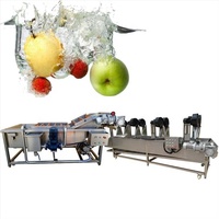 Andere Kleine Schaal Groente Druif Mango Citroen Apple Passie Vruchtensap Maken Verwerking Productielijn