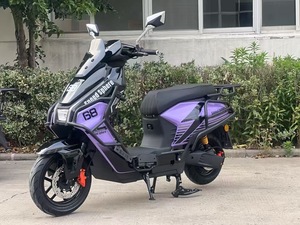 Scooter Électrique Personnalisable EU 2025 avec Moteur 1000W, Pneu 1000W, Vitesse Maximale 45km/h, Autonomie 50km, Portée 80km - Product Image 3