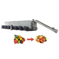 Ondersteuning voor maatwerk Chili-droogmachine, continue tomatendroogmachine, gaasband-kool/fruit/gember-tunnel droogmachine