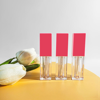 En stock – Tubes carrés pour gloss à lèvres or, rose, noir – Flacons transparents pour huile à lèvres 5ml, 6ml avec applicateur brosse et logo personnalisé