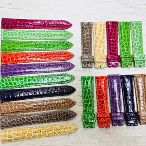 Dernière conception d'usine de cuir exotique personnalisé série 16MM 18MM bracelet de remplacement en cuir de crocodile multicolore pour hommes et femmes