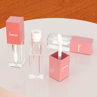Tubes de gloss à lèvres personnalisés et boîte d'emballage, tube de gloss à lèvres rose avec applicateur, tube de gloss à lèvres à étiquette privée