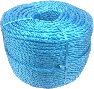 8Mm 100M Cuộn Dây Nylon Màu Xanh Xoắn Poly Dây Các Nhà Sản Xuất