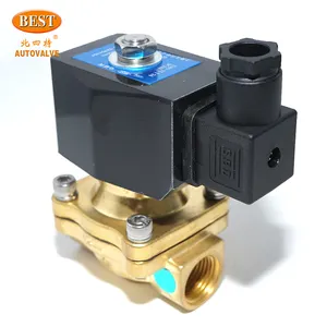 Không khí nước 24V 12V DC 220V 110V AC Brass solenoid van Giá tốt solenoid van thủy lực z101 2/2 cách cơ hoành kiểm soát cuộn dây