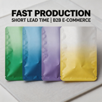 Petit sac d'emballage en plastique PE à fermeture éclair sur 3 côtés avec impression en héliogravure, résistant à l'humidité, pour les applications cadeaux et artisanales