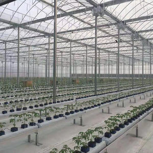 Grande serre intelligente à cadre en acier galvanisé Venlo solaire passif à faible coût avec verre trempé pour usage agricole - Product Image 2