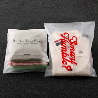 Sacs d'emballage en plastique givré avec fermeture éclair réutilisable, logo imprimé personnalisé, mat, en polyéthylène, pour vêtements