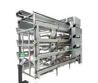 Système de Cage de couveuse automatique, pour élevage de volaille, ange de poulet, bon marché