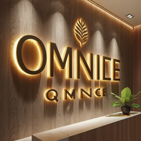 Señalización de logotipo personalizado con letras LED retroiluminadas 3D acrílicas de acero inoxidable para escaparates comerciales