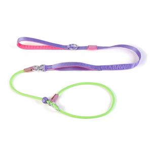 Correa para Perros de Neopreno y Poliéster, Estilo Nuevo, Duradera, Personalizada, al por Mayor, con Cadena, Correa Deslizante para Exhibición Canina con Dos Asas - Product Image 3