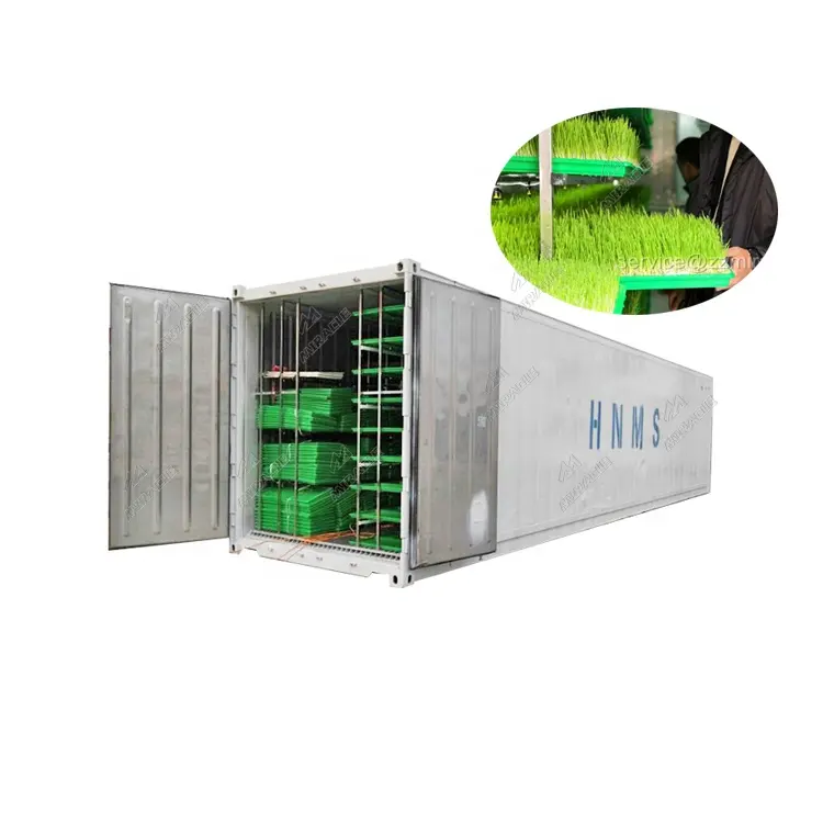 Sistema hidropónico de brotación de semillas de cebada tipo contenedor de envío con capacidad diaria de 500 kg de forraje fresco para alimentación animal