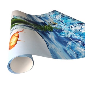 Best Selling Canvas <strong>Texture</strong> Printable Eco Solvent Wall <strong>Paper</strong> Material for Indoor Decoration - Product Image 3