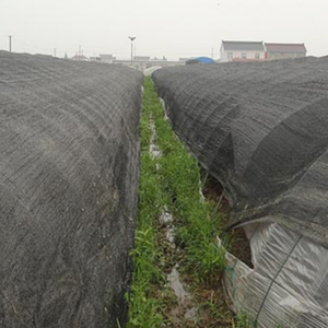 <span class=keywords><strong>Malla</strong></span> de <span class=keywords><strong>Sombra</strong></span> de Alta Calidad 40 70% 90% <span class=keywords><strong>Malla</strong></span> de <span class=keywords><strong>Sombra</strong></span> Agrícola de HDPE en Rollo <span class=keywords><strong>Precio</strong></span> <span class=keywords><strong>Malla</strong></span> de Sombreado para Invernadero - Product Image 6