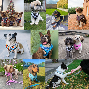 En Gros <span class=keywords><strong>Harnais</strong></span> <span class=keywords><strong>pour</strong></span> Chien en Cordelette Haute Qualité avec Logo Personnalisé, Ensemble de Laisse et <span class=keywords><strong>Collier</strong></span> de Luxe <span class=keywords><strong>pour</strong></span> Chiots, Accessoires de Promenade en Extérieur - Product Image 2