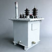 Transformateurs immergés dans l'huile monophasés HaiRui D11 personnalisables, 220V, ONAN, 50Hz/60Hz, tension de sortie 220V/380V/400V, Zhejiang, 2 bobines