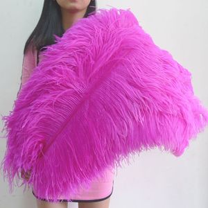 <span class=keywords><strong>Plumas</strong></span> de Avestruz Grandes de 28-30 Pulgadas 70-75 cm de Sudáfrica para Decoraciones de Boda, Fiestas, Eventos y Carnavales - Product Image 1
