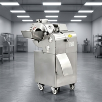FONHON 750W Multifunctionele Snijmachine 100KG 1 Jaar Garantie voor Restaurants, Kantines, Hotels, Groenteverwerking
