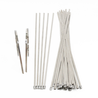 Attaches-câbles en acier inoxydable auto-bloquants TYO haute résistance anti-corrosion SS201 SS304 SS316, largeur 4,6 mm, 100 mm, pour applications électriques