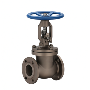 Válvula de Globo Manual COVNA de Varios Tamaños para Vapor, Acero Fundido, Brida DIN PN16, Upvc/Latón/Acero Inoxidable - Product Image 3