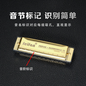 Armónica Feifan para niños, instrumento de blues de 10 orificios para principiantes y niños con estuche de plástico - Product Image 4