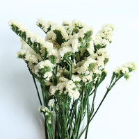 Fournisseur Direct Usine : Fleurs Éternelles Préservées, Statice 'Ne Me Quitte Pas' pour la Saint-Valentin, Décoration de Mariage, Tiges en Gros pour Vase