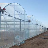 Serre en plastique à arche courbée Zhuotai, serre en plastique à structure arquée, origine Chine