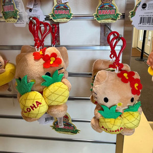 Llavero de peluche de Hello Kitty marrón de 12 cm, con luz, diseño 3D de dibujos animados, portátil, con impresión digital, marca SHILI, colgante para bolso, con garra. - Product Image 5