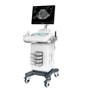 2024 New Type Trolley Ultrasound Good Quality BMV BPU90 Color Doppler Ultrasound Device