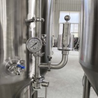 Fût de fermentation de bière 2BBL personnalisé avec bride supérieure, fermenteur isolé avec réservoir sous pression pour brasserie artisanale et microbrasserie