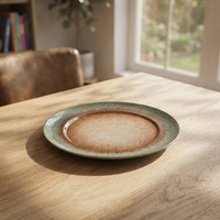 Melamine servies ecologisch duurzaam onbreekbaar vaatwasserbestendig niet-toxisch commercieel restaurant servies gepolijst Aziatisch Zen