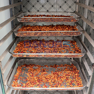 Temperature Adjustable Hawthorn Slice Dryer Hawthorn Drying Room Hawthorn Slicing and Drying Production Line - Product Image 2