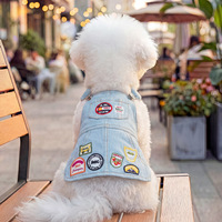 Robes Adorables Rayées en Polyester pour Chiens et Chats, avec Patch Arc-en-ciel, Idéales Printemps-Été