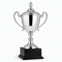 Coupe de trophée en argent, coupe de trophée en métal personnalisée, coupe de trophée en métal, trophée de récompense, coupe de trophée gravée sur mesure, trophée de champion