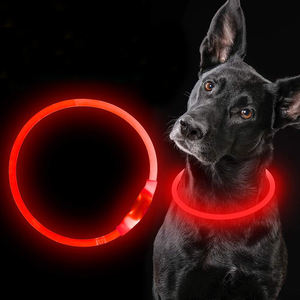 <span class=keywords><strong>Collar</strong></span> Ajustable para Perros con Luces LED Luminoso y Parpadeante, Brilla en la Noche, Plástico Ecológico y Seguro para Mascotas - Product Image 1