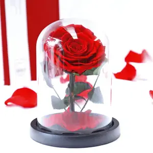 Groothandel Valentijnsdaggeschenken Boho Geconserveerde Bloem Eeuwig Glas Bedekte Rozen In Doos Voor Festivalgeschenken En Handgeschenken