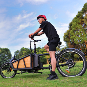 Chinese Supplier Aluminium <b>Frame</b> Family Carrying Load <b>Ebike</b> Super Load Chinese Supplier Aluminium <b>Frame</b> Family B - Product Image 6