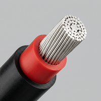 Cable Solar Aislado con XLPE de Cobre Aprobado, PV1-F H1Z2Z2-K ZZ-F 2.5mm2, Resistente a los Rayos UV, 1.5KV, 100m, 25 Años de Vida Útil